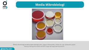 Prinsip dan Cara Pembuatan Media Mikrobiologi